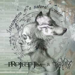 Introspection of a Natural Disorder